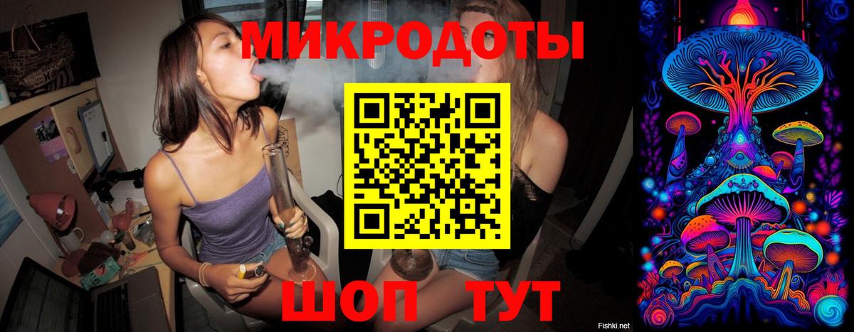 Галлюциногенные грибы Psilocybine cubensis Дивногорск