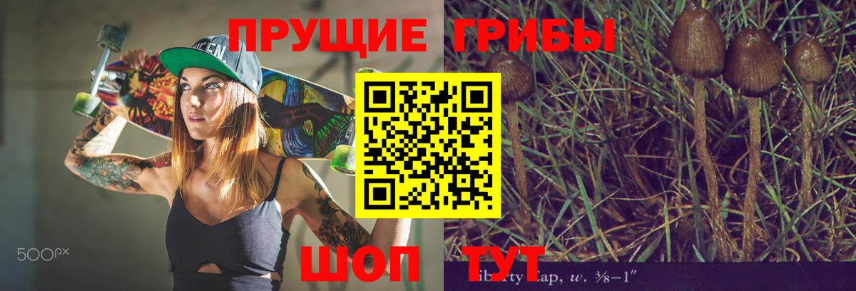 Дивногорск  Псилоцибиновые грибы Cubensis  Вход с VPN  Галлюциногенные грибы прущие грибы 